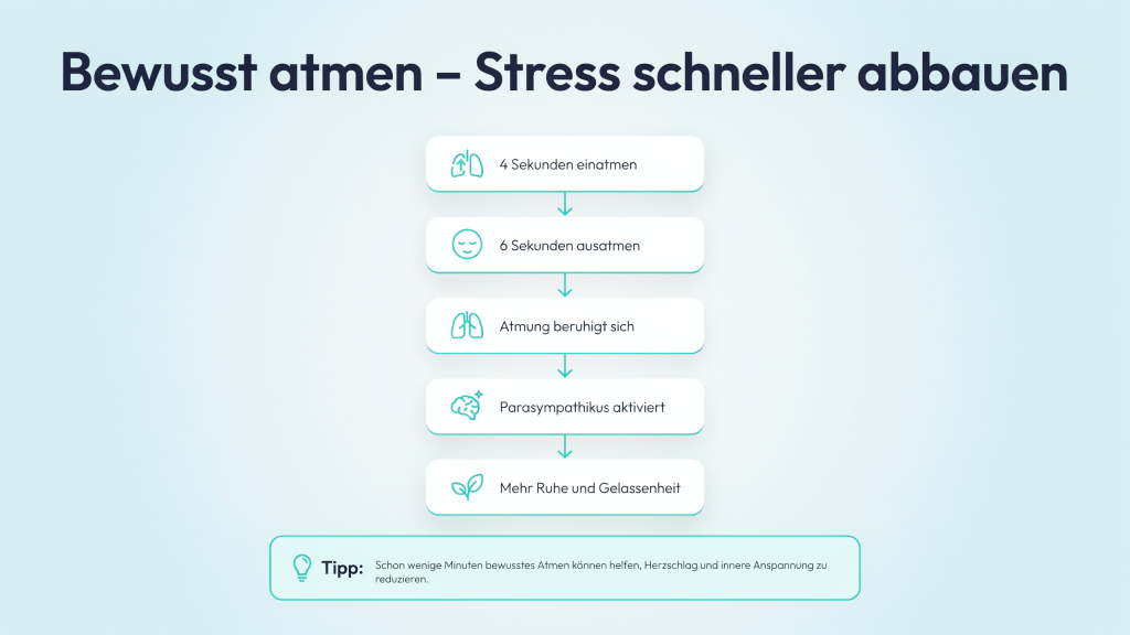 Infografik zeigt die 4-6-Atemtechnik zur Stressreduktion. Durch langsames Ein- und längeres Ausatmen wird der Parasympathikus aktiviert und das Nervensystem beruhigt.