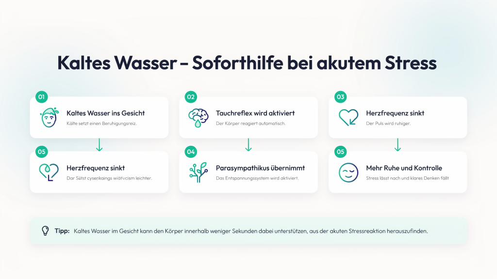 Infografik zeigt, wie kaltes Wasser im Gesicht den Tauchreflex aktiviert, die Herzfrequenz senkt, den Parasympathikus stimuliert und dadurch das Nervensystem bei akutem Stress beruhigt.