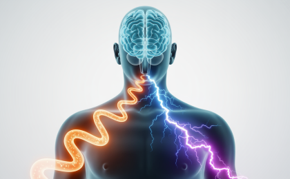 Stresshormone einfach erklärt. Illustration einer menschlichen Silhouette mit hervorgehobenem Gehirn und visuellen Signalwegen, die Stresshormone darstellen: langsame wellenartige Ausbreitung für Cortisol, blitzartige Energie für Adrenalin und fokussierte Linien für Noradrenalin auf minimalistischem Hintergrund