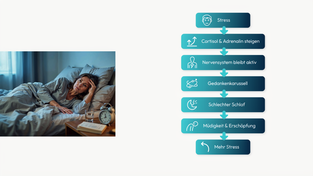 Infografik zeigt den Kreislauf aus Stress, erhöhtem Cortisol und Schlafstörungen.